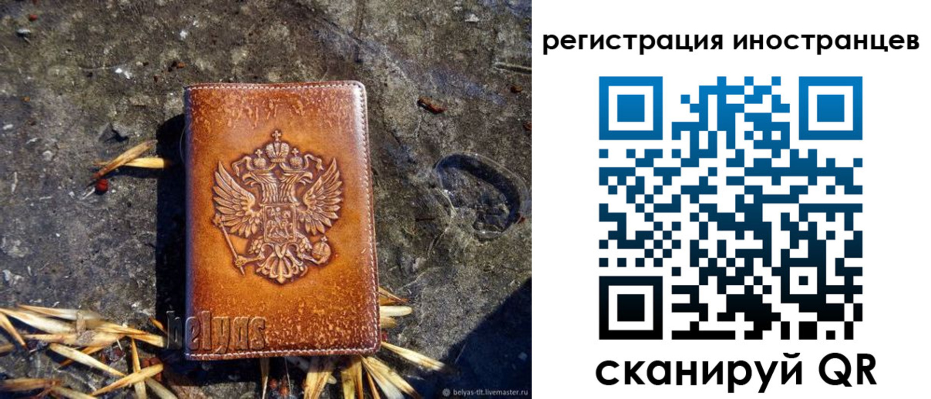 прописка регистрация в Россоши